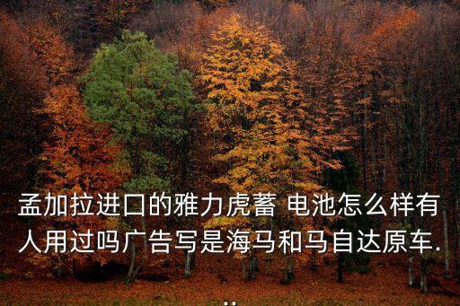 霍克電池
