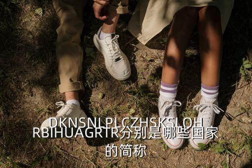 DKNSNLPLCZHSKSLOHRBIHUAGRTR分別是哪些國家的簡稱