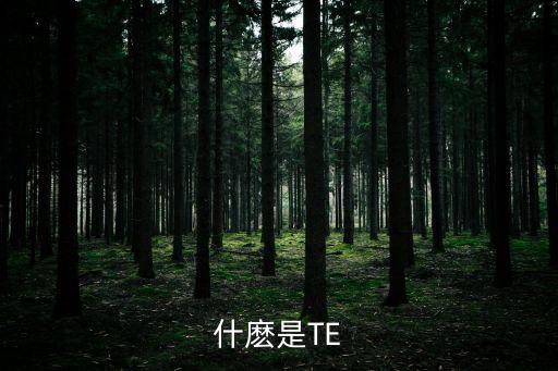 什麼是TE