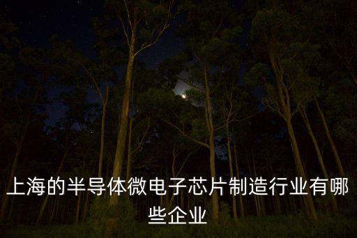 上海的半導(dǎo)體微電子芯片制造行業(yè)有哪些企業(yè)