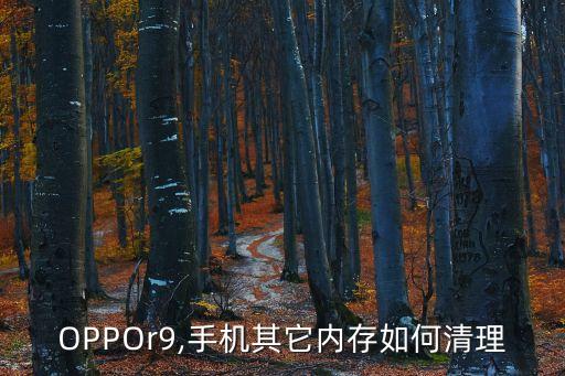 OPPOr9,手機其它內(nèi)存如何清理