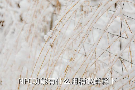 NFC功能有什么用稍微解釋下