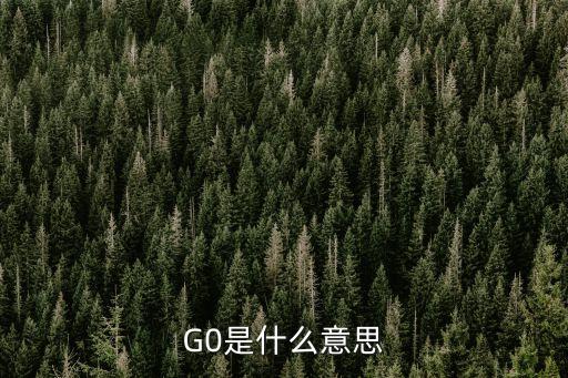 G0是什么意思