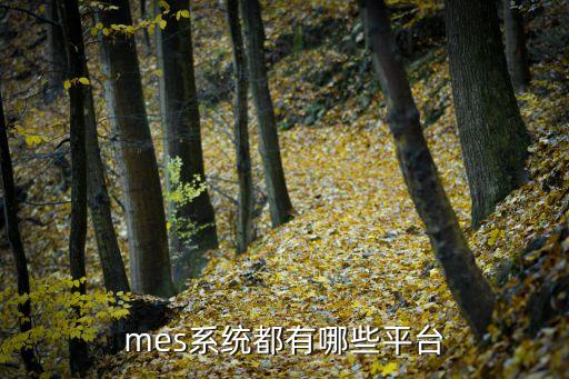 mes系統(tǒng)都有哪些平臺