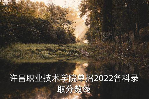 許昌職業(yè)技術(shù)學(xué)院單招2022各科錄取分數(shù)線