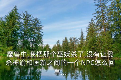 魔獸中,我把那個巫妖殺了,沒有讓我殺神諭和匡新之間的一個NPC怎么回事...