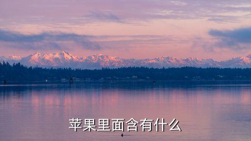蘋果里面含有什么