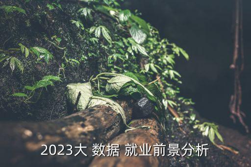 2023大 數(shù)據(jù) 就業(yè)前景分析