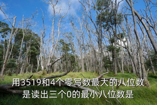 3519，3519和3518哪個(gè)數(shù)排列的寓意好