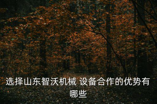 自動(dòng)化醬料設(shè)備,醬料加工廠需要什么設(shè)備
