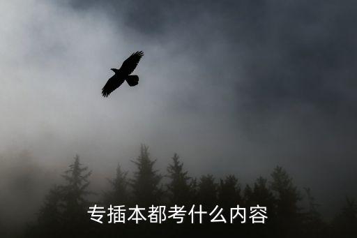 專插本都考什么內(nèi)容