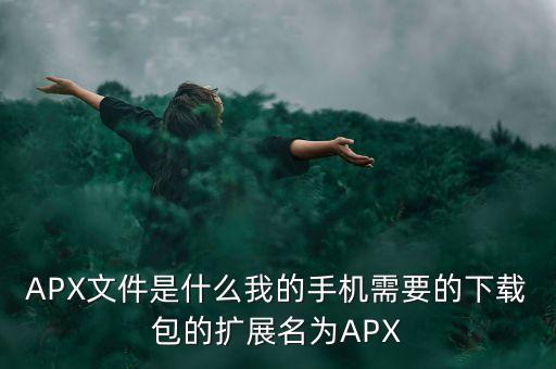 APX，APX文件是什么我的手機(jī)需要的下載包的擴(kuò)展名為APX