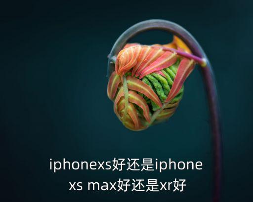iphonexs好還是iphone xs max好還是xr好