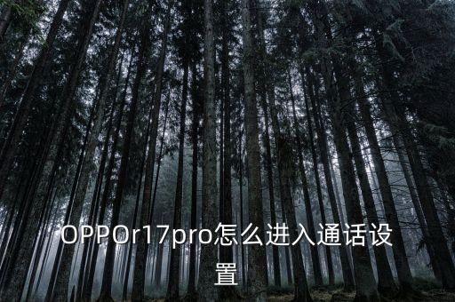 OPPOr17pro怎么進入通話設置