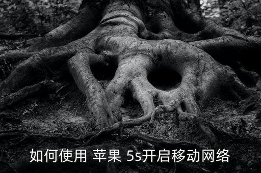蘋果5s蜂窩數(shù)據(jù) wifi