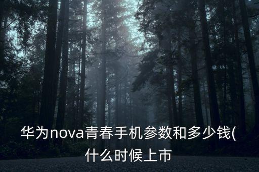 華為nova青春手機(jī)參數(shù)和多少錢(什么時候上市