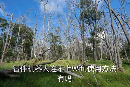 智伴機(jī)器人連不上Wifi,使用方法有嗎