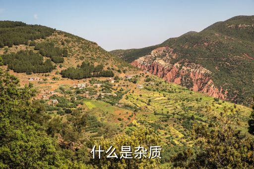 什么是雜質(zhì)