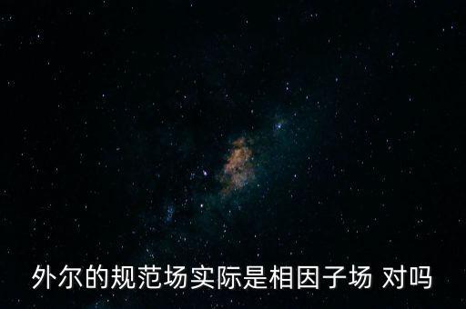 外爾的規(guī)范場(chǎng)實(shí)際是相因子場(chǎng) 對(duì)嗎