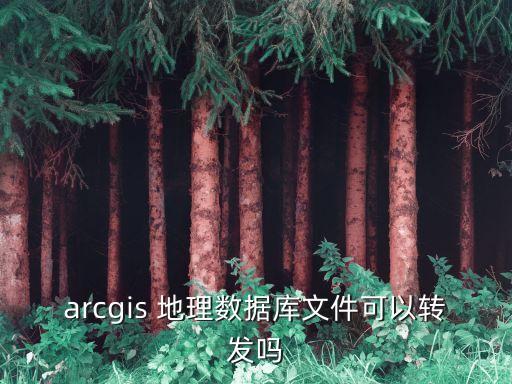 arcgis 地理數(shù)據(jù)庫(kù)文件可以轉(zhuǎn)發(fā)嗎