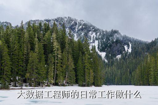 大數(shù)據(jù)工程師的日常工作做什么