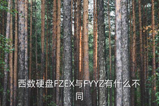 沈陽西部數(shù)據(jù)企業(yè)盤,西部數(shù)據(jù)移動硬盤十大品牌之一