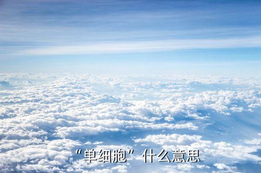 “單細(xì)胞”什么意思
