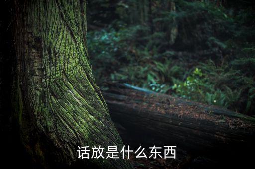 話放的作用，功放和話放有區(qū)別嗎