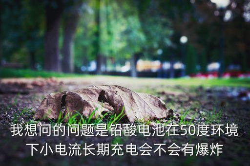 我想問的問題是鉛酸電池在50度環(huán)境下小電流長(zhǎng)期充電會(huì)不會(huì)有爆炸
