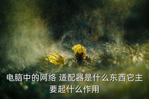 適配器是什么,電腦里的網(wǎng)絡(luò)適配器是什么?