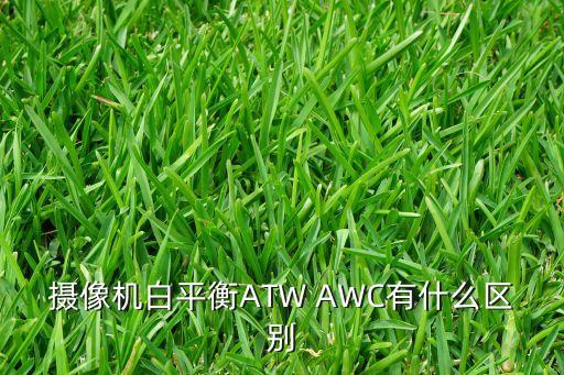 自動白平衡，電腦老是自動調節(jié)白平衡怎么辦
