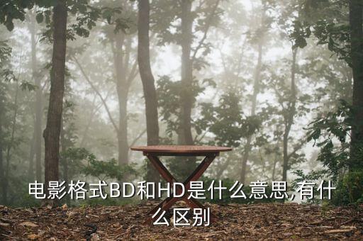 電影格式BD和HD是什么意思,有什么區(qū)別