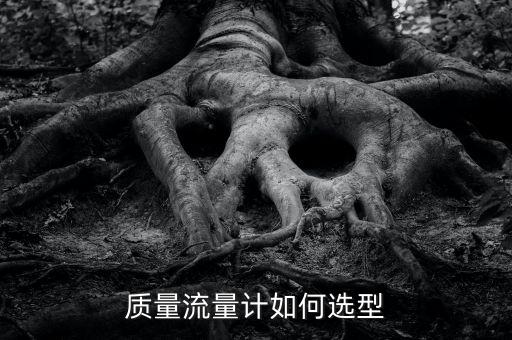 質(zhì)量流量計如何選型