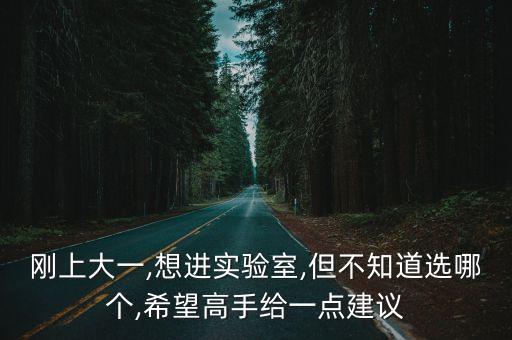 剛上大一,想進(jìn)實(shí)驗(yàn)室,但不知道選哪個,希望高手給一點(diǎn)建議
