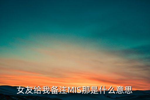 女友給我備注MIS那是什么意思
