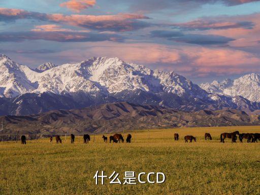 ccd相機(jī)是什么，什么是CCD工業(yè)相機(jī)