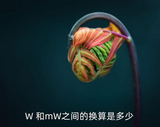 mw等于多少w，W 和mW之間的換算是多少