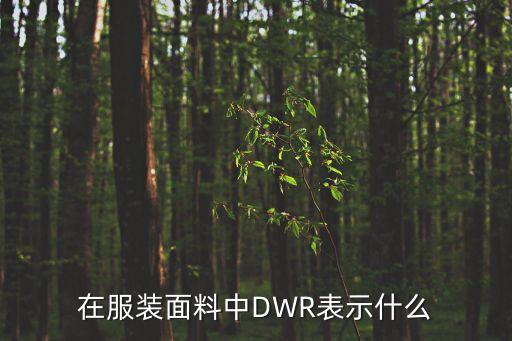 在服裝面料中DWR表示什么