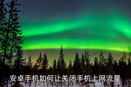 安卓手機如何讓關(guān)閉手機上網(wǎng)流量