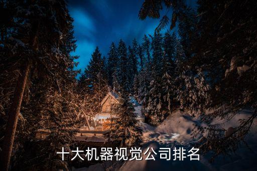 十大機(jī)器視覺公司排名