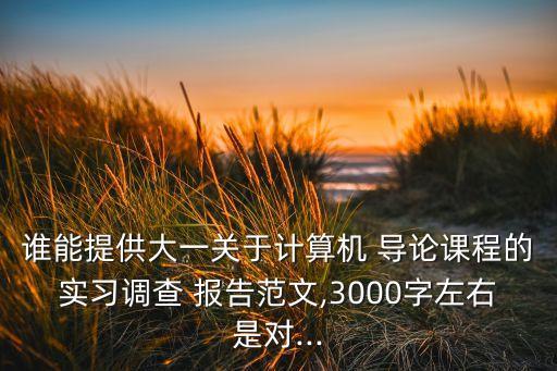 誰能提供大一關(guān)于計算機 導(dǎo)論課程的實習(xí)調(diào)查 報告范文,3000字左右是對...