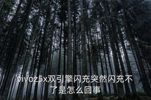 vivoz5x雙引擎閃充突然閃充不了是怎么回事