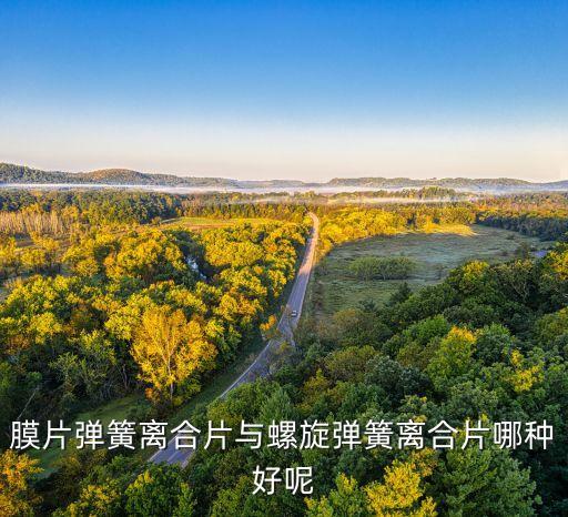 膜片彈簧離合片與螺旋彈簧離合片哪種好呢