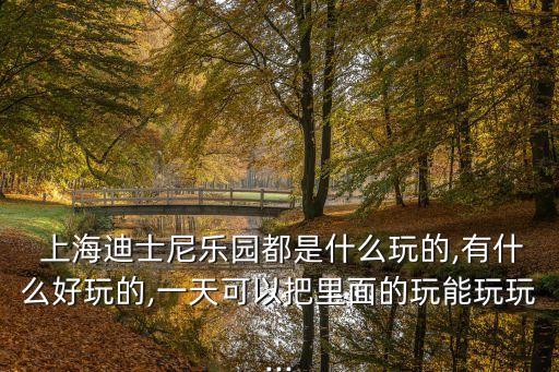  上海迪士尼樂園都是什么玩的,有什么好玩的,一天可以把里面的玩能玩玩...
