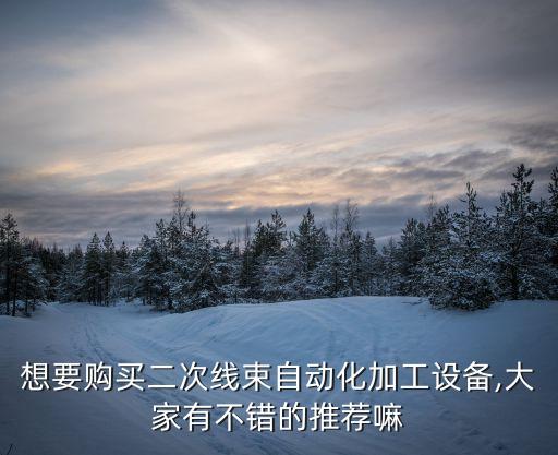 想要購買二次線束自動化加工設(shè)備,大家有不錯的推薦嘛