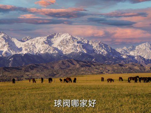 密封袋自動化設備廠家排名,智能倉儲的自動化設備廠家