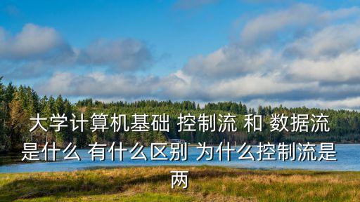 控制流，程序流程圖中帶箭頭的線段表示的是數(shù)據(jù)流還是控制流