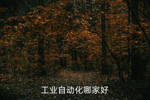工業(yè)自動化哪家好