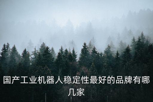國產(chǎn)工業(yè)機器人穩(wěn)定性最好的品牌有哪幾家