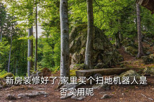 新房裝修好了,家里買個掃地機器人是否實用呢